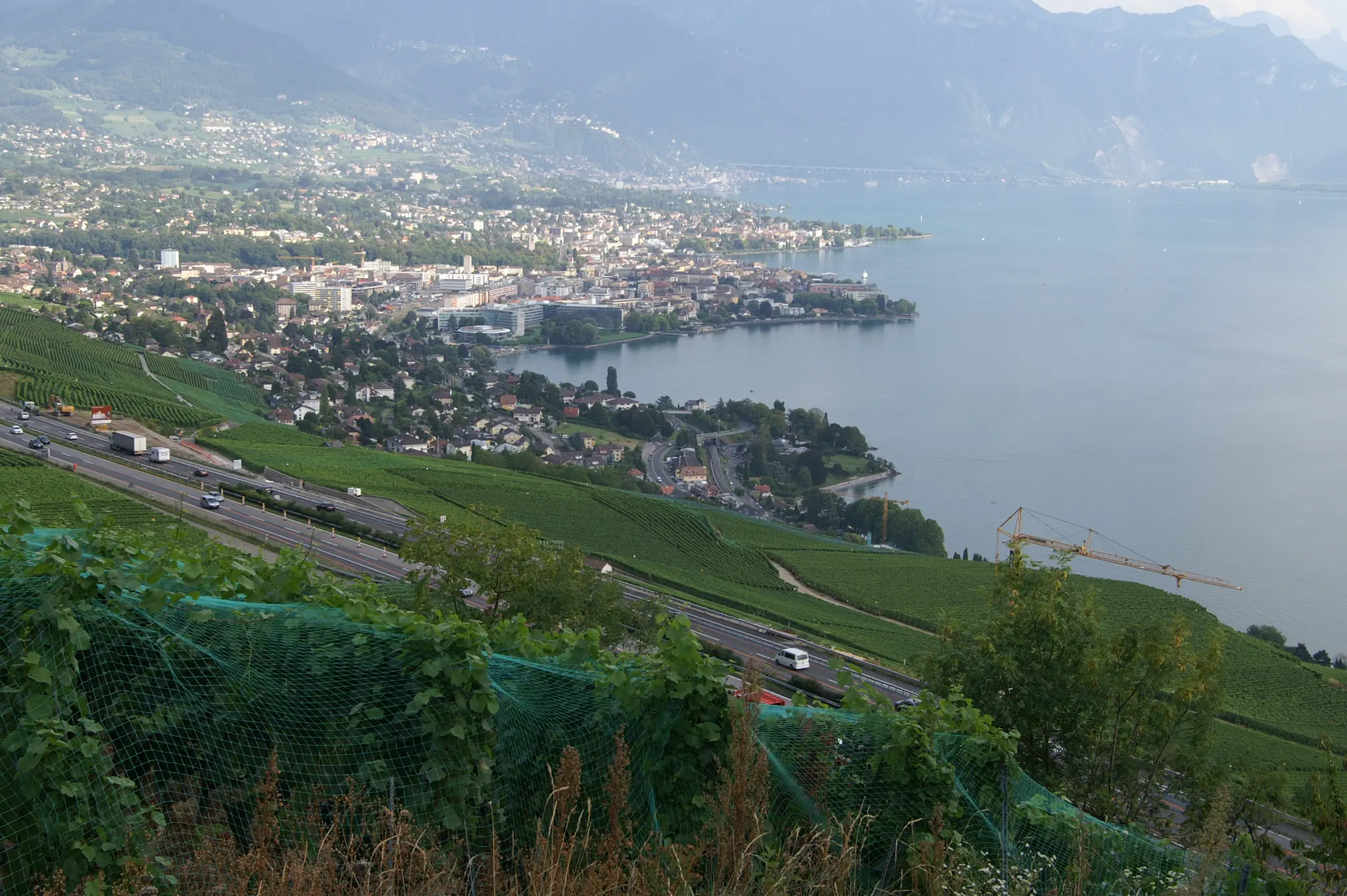 Vue de Vevey et du Léman depuis les coteaux de Lavaux